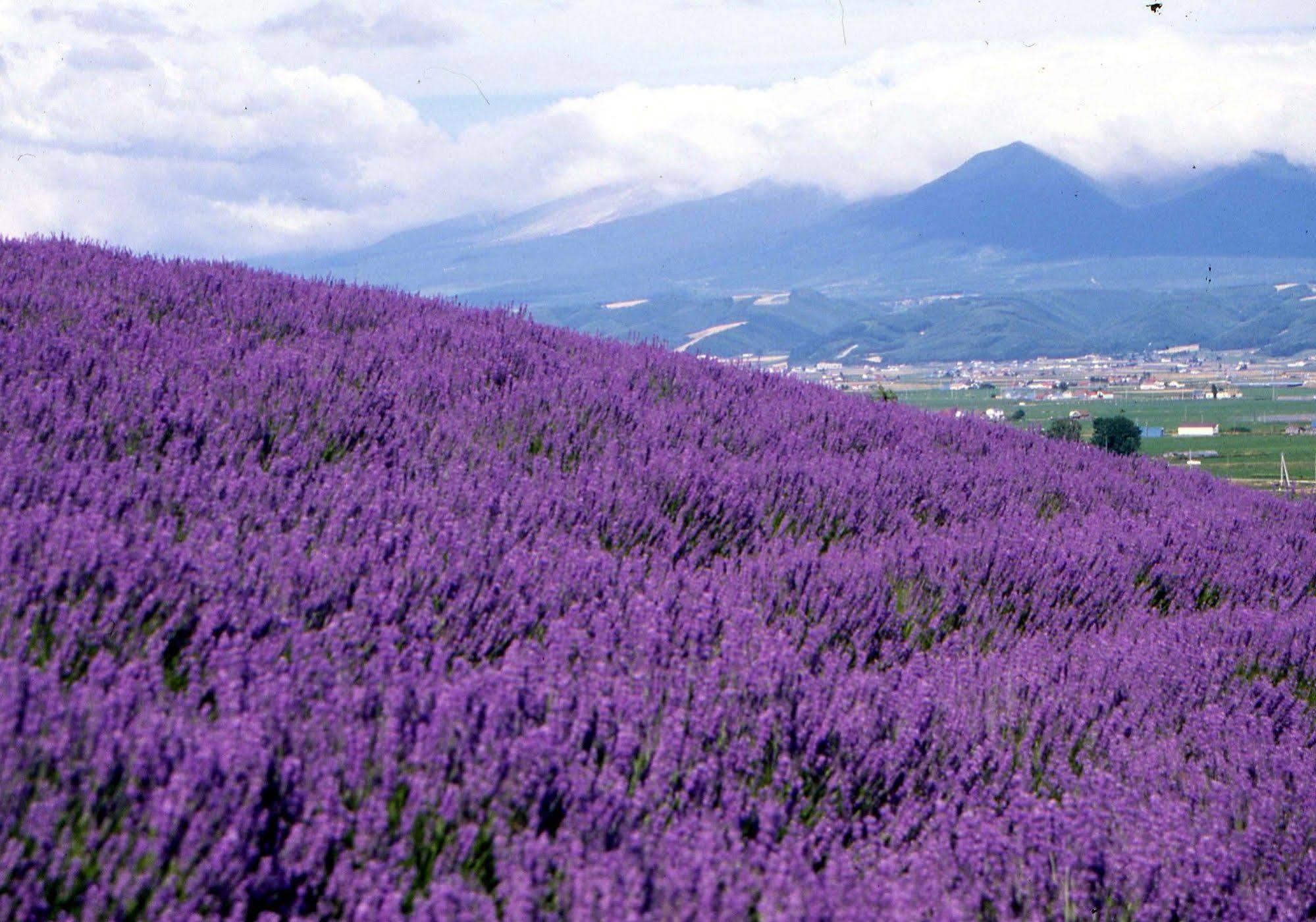 Pension Lavender ฟุระโนะ ภายนอก รูปภาพ