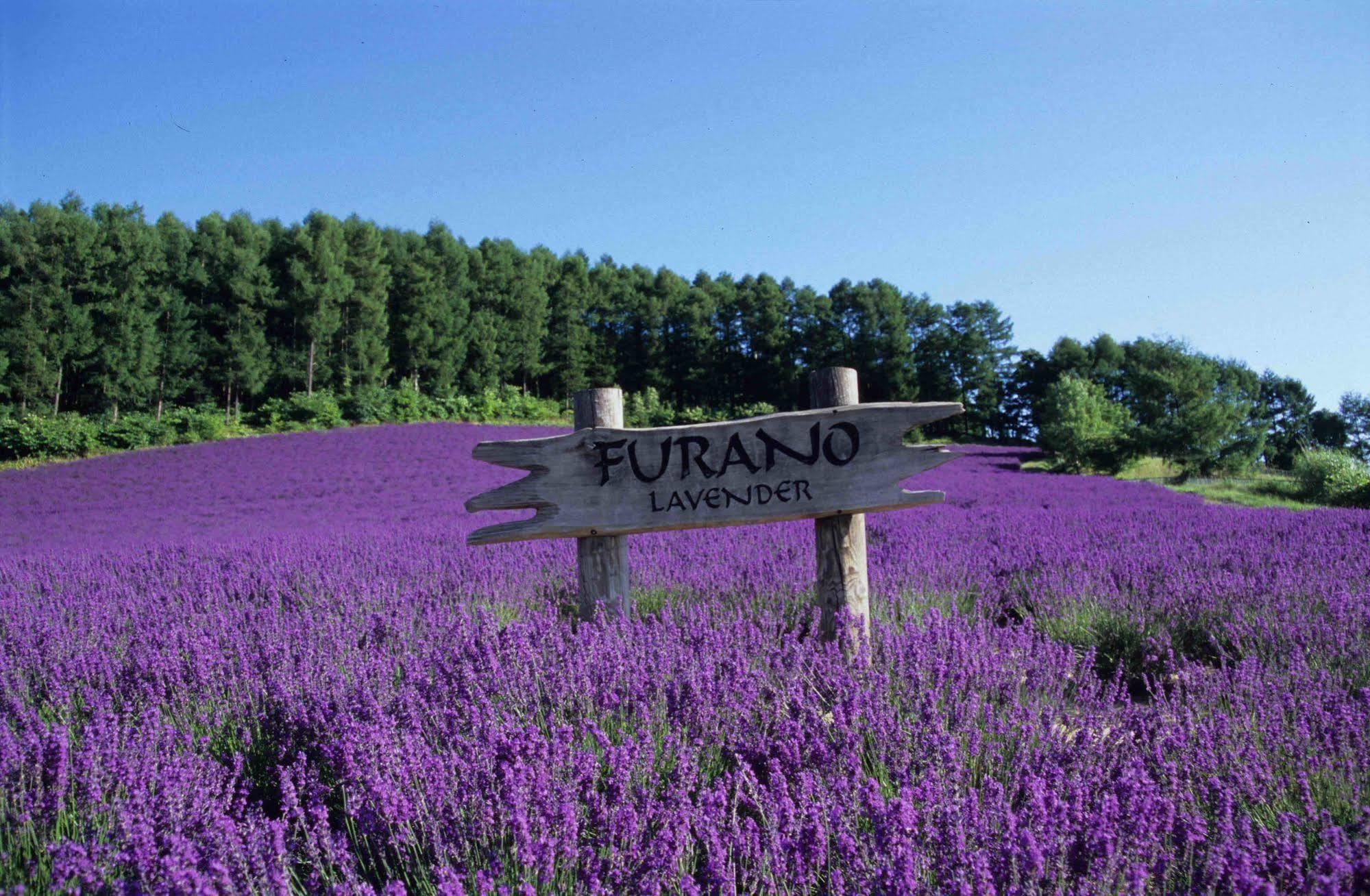 Pension Lavender ฟุระโนะ ภายนอก รูปภาพ